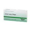 Calculi Comp.Pflüger Ampullen