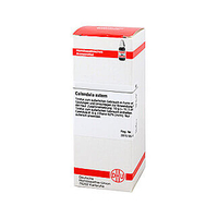 Calendula Extern
