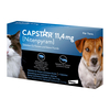 Capstar 11, 4 mg Tabletten für Katzen/kleine Hunde