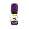 Cardamomöl Bio