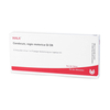 Cerebrum regio motorica Gl D6 Ampullen