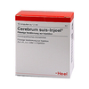 Cerebrum Suis Inj Or