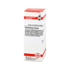 Chelidonium Extern