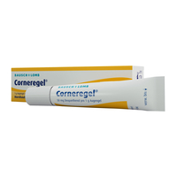 Corneregel Augengel