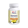 Damiana Kapseln 450 mg 5 zu 1 Blattextrakt