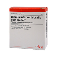 Discus Intervertebralis Suis Injeel Ampullen