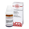 DRACONTIUM FOETIDUM D12