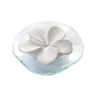 Duftstein Frangipani Glasteller Transparent