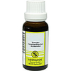 ECHINACEA K KPLX 65