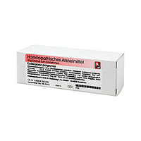 Echinacea Purpurea D 12