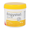 Engystol T ad us. vet. Tabletten