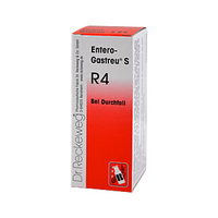 Entero Gastreu S R4