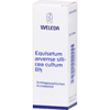Equisetum Arvense Silicea Cultum RH D3