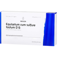 Equisetum Cum Sulfure Tostum D6