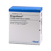 Erigotheel