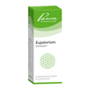 Eupatorium Similiplex