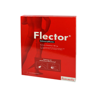 Flector Schmerzpflaster