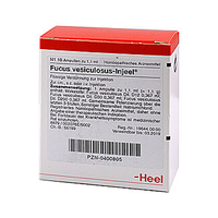 Fucus Vesicul Inj