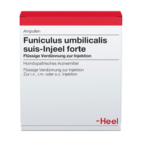 Funiculus umbilicalis suis Injeel forte Ampullen