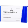 Iris Germanica RH D3