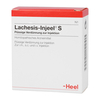 Lachesis Injeel S Ampullen