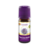 Lavendel ÖL Bio