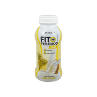 Layenberger Fit + Feelgood fixfertig Diät-Shake Pina Colada