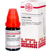 LEDUM LM VI