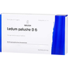 Ledum Palustre D6