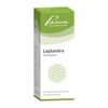 Leptandra Similiaplex