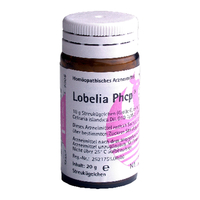 Lobelia Phcp