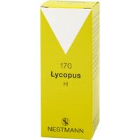 LYCOPUS H 170