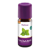 Melissen Öl Bio 8% In Jojoba Öl Bio - None