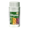 Oligase 600 Kapseln - None