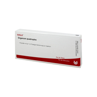 Organum Quadruplex Ampullen