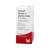 Oxalis e Planta Tota W 10% Oleum