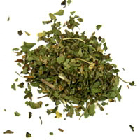 Pfefferminzblätter Menthae piperitae folium