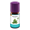 Pfefferminze Bioaroma Baldini Ätherisches Öl - None