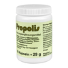 Propolis Kapseln Nahrungsergänzungsmittel
