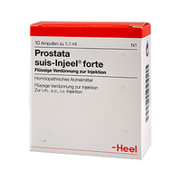 Prostata Suis Injeel Forte Ampullen
