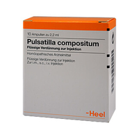 Pulsatilla Compositum Ampullen