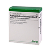 Ranunculus Homaccord