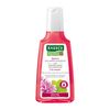 Rausch Malven Volumen-Shampoo