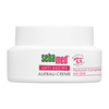 Sebamed Anti Ageing Aufbaucreme Q10 Tiegel