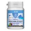 Selbstvertrauen Kaugummi Nach Dr. Bach - None