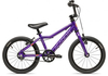 Academy Grade 3 Belt 2025 purple 25 cm BMX Bikes