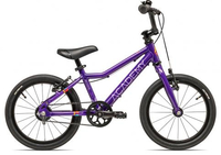 Academy Grade 3 Belt 2025 purple 25 cm BMX Bikes