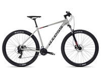 Axess BRASH grey 17 Zoll Hardtail-Mountainbikes