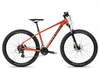 Axess DEBRIS orange 14 Zoll Hardtail-Mountainbikes