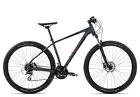 Axess DEBRIS 2021 19 Zoll grey matt/black/red 29 Zoll